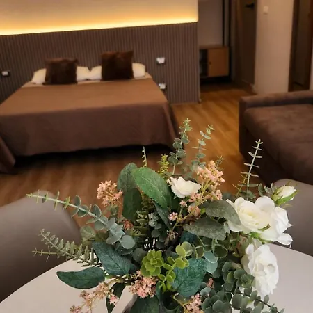 Apartahotel Gaia Vicino Al Centro Con Parcheggio Privato Turín